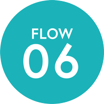 FLOW 06